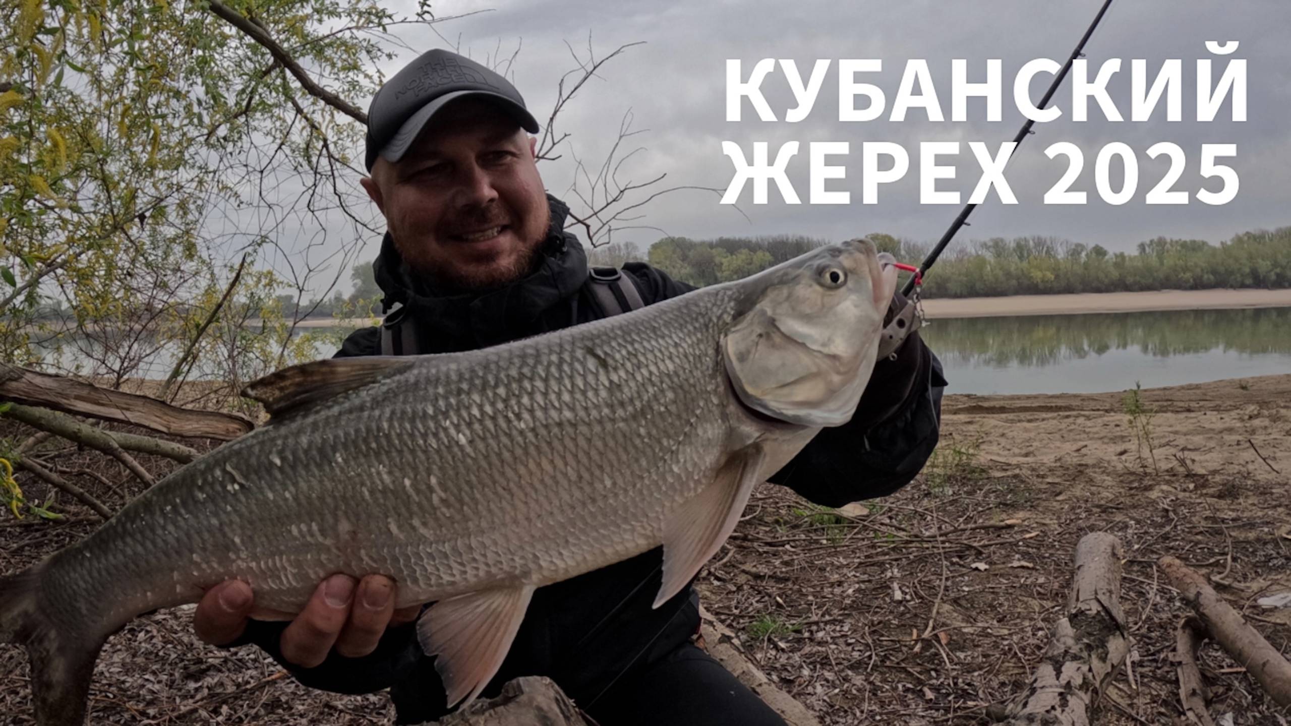 Весенний жерех 2025! Река Кубань. Обрыбил Zenaq Plaisir Answer PA90.