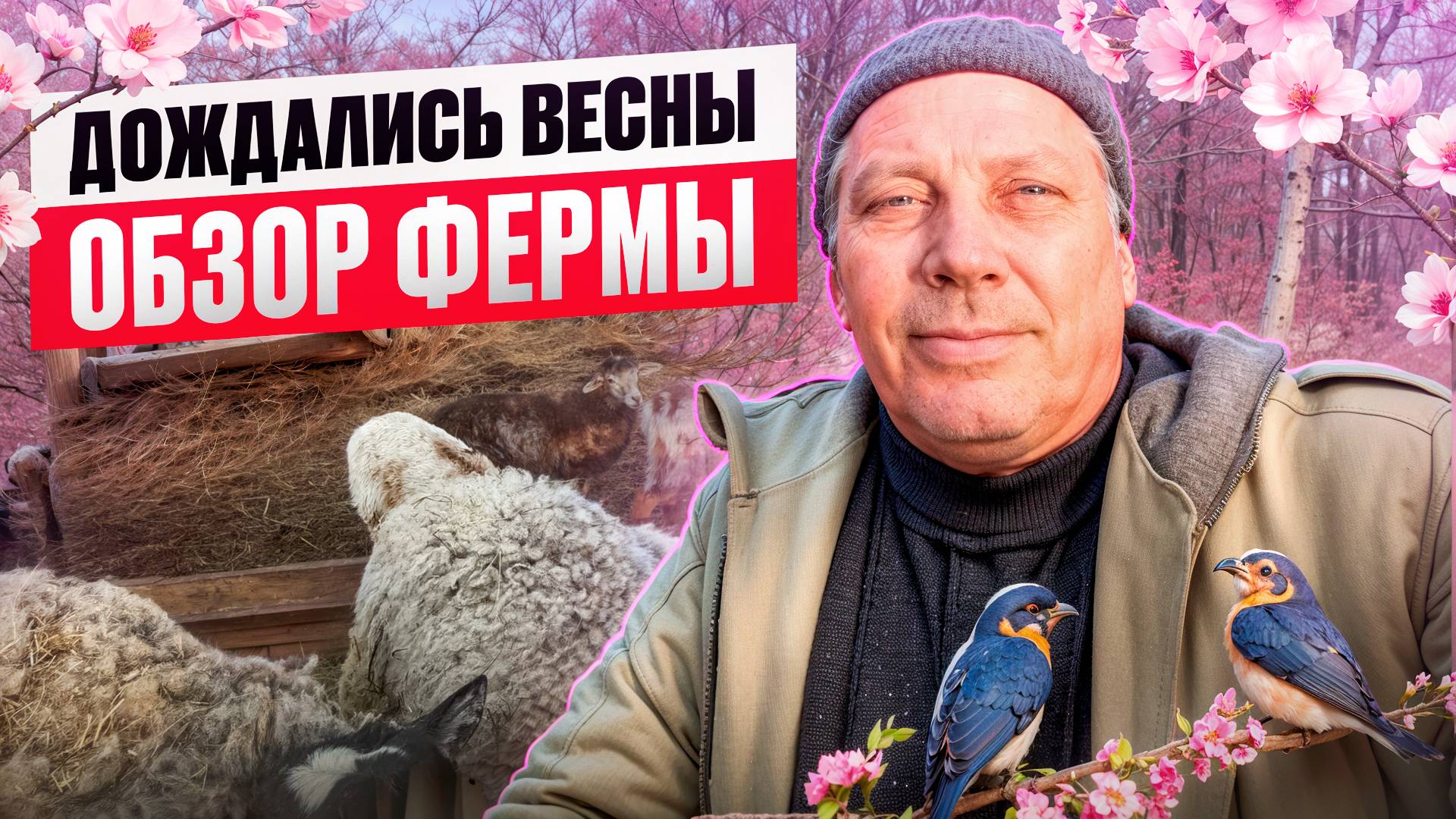 ДОЖДАЛИСЬ ВЕСНЫ - обзор ФЕРМЫ в АПРЕЛЕ🌱 #МоеПодворье