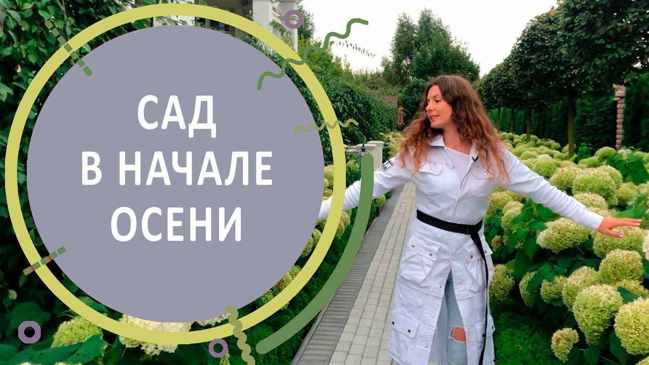 Обзор сада в Подмосковье в начале осени