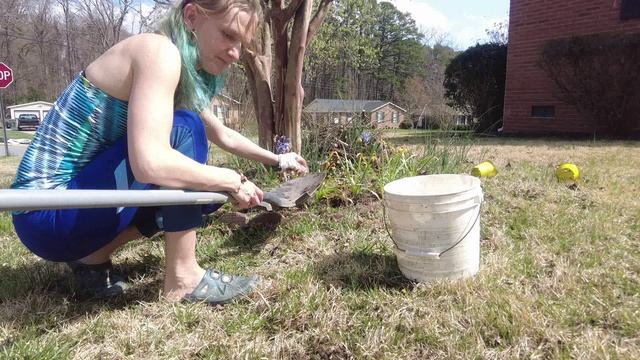 Planting strawberries - Сажаю клубнику (видео на английском)