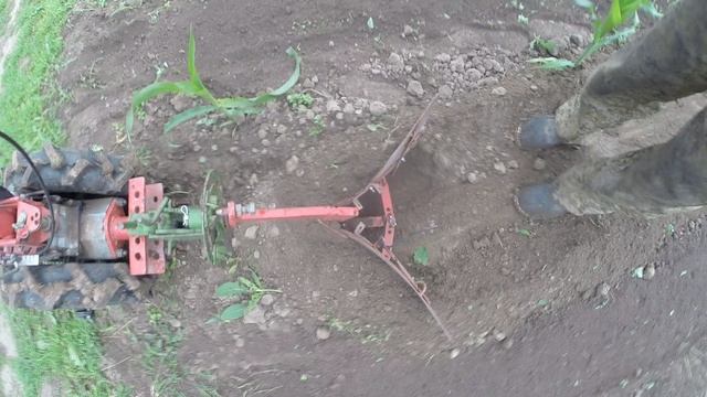 Мотоблок Кутаиси с родным окучником