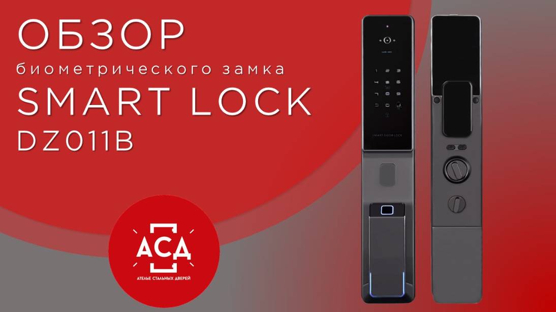 Биометрический замок Smart lock DZ011B обзор