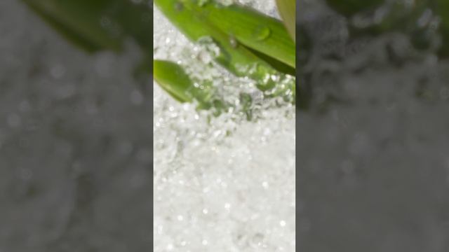 Зима в апреле