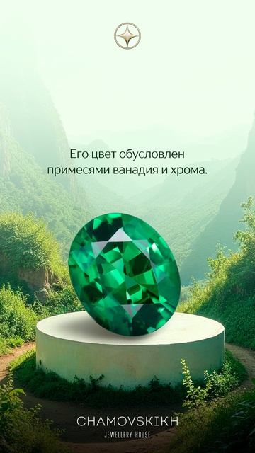 Африканская звезда