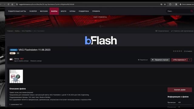 002. VAG FlashDaten 09 01 2024