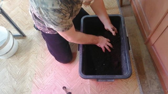 Готовлю почвосмесь для рассады цветов