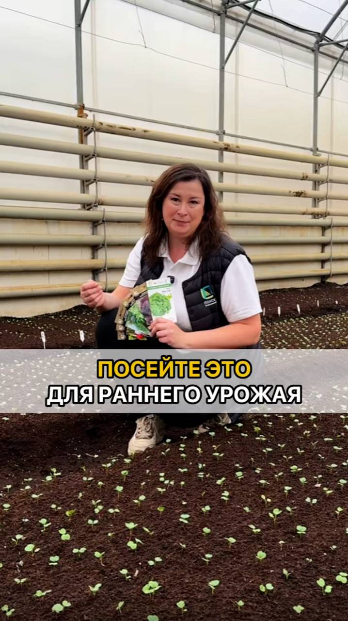 РАННИЙ УРОЖАЙ ОБЕСПЕЧЕН, если посеять эти культуры.