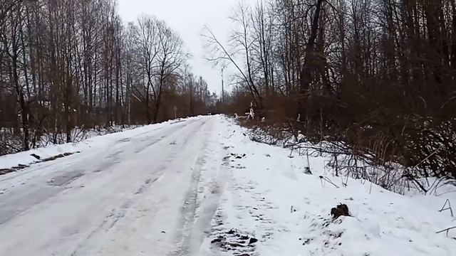 2-3.01.25г. Тапочки в подарок. Новые заказы. Всех с Новым годом🎄