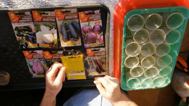 Обзор сортов баклажанов которые я буду сажать в новом сезоне