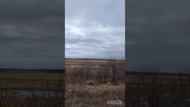 Всё есть иллюзия нашего ума.