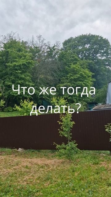 Когда плохие погодные условия то в дымоходе образуется воздушная пробка