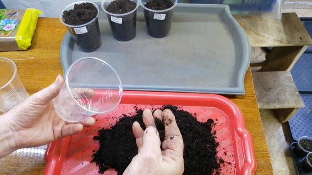 Проверка грунта для рассады на кислотность