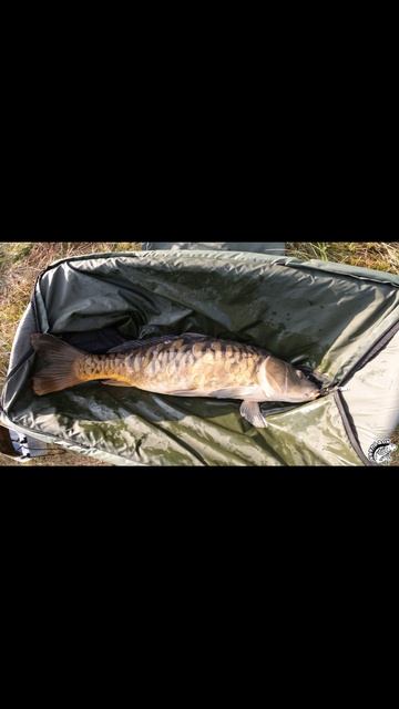 Рекорд во всей красе. Фкарпфишинг. Фотосессия