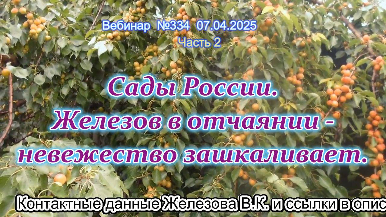 Железов Валерий. Вебинар 334. ч.2. Сады России. Железов в отчаянии - невежество зашкаливает.