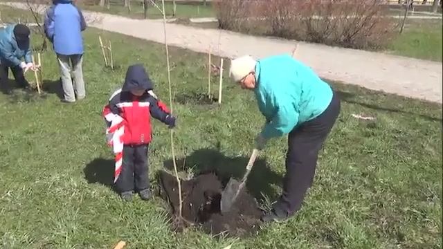 "Чистая природа - Чистое общение" .Посадка деревьев.Вологда 2017 г.
