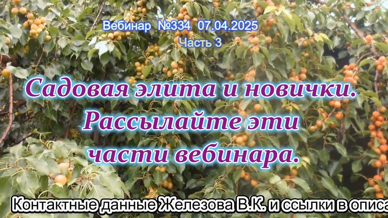 Железов Валерий. Вебинар 334. ч.3. Садовая элита и новички. Рассылайте эти части вебинара.