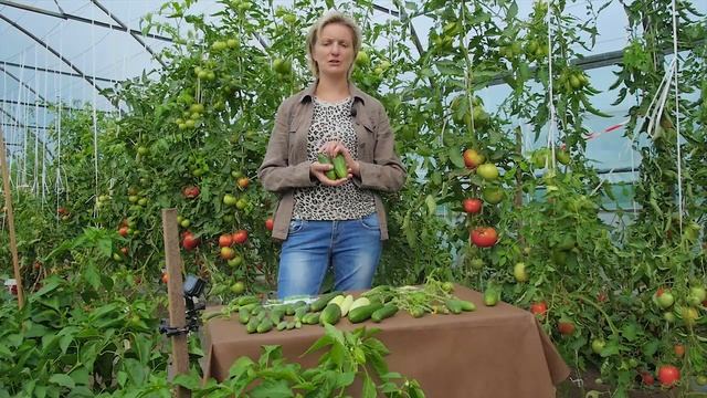 ВЫБИРАЕМ СЕМЕНА ОГУРЦОВ плюс МАСТЕР-КЛАСС ПО ПОСЕВУ