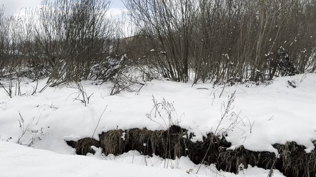 Апрельский день