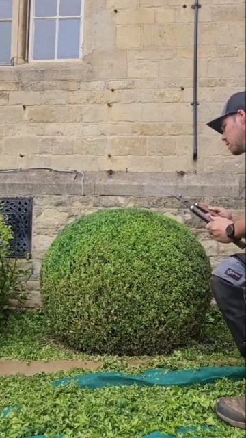 Японские ножницы для топиара Miki Kajiyamura TS170