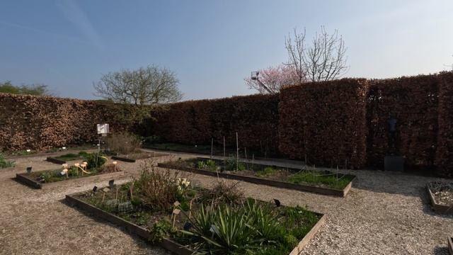 Muiderslot  24.03.25