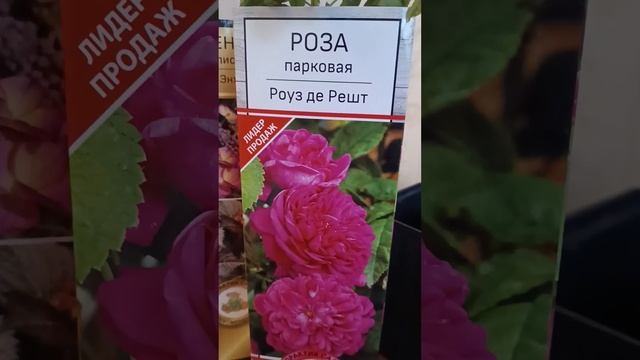 Обзор покупок многолетников для сада