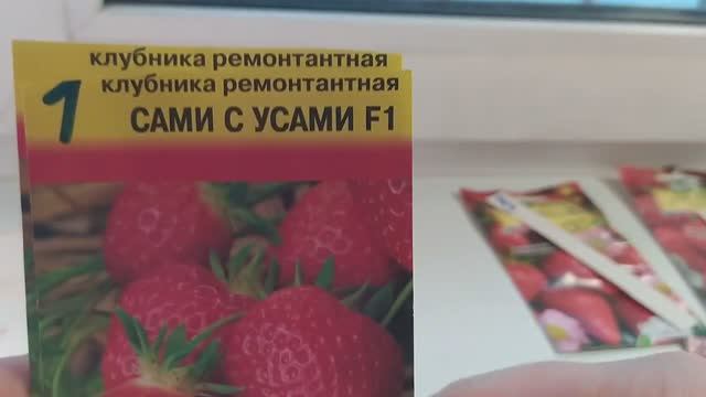 Рассада клубники. Как сеять?Подробный матер-класс.