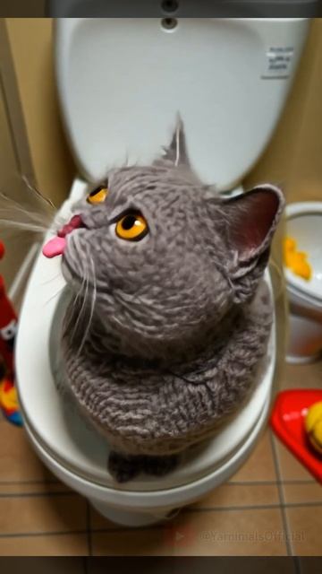 Вязаный кот в туалете #aiart #cuteanimals #kitten #knittedcat