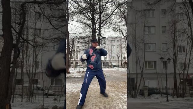 Ицюань (1337 день) Байхэ Цюань - Кулак Белого Журавля / Буфа / Кёкусинкай - бой с тенью (9.04.25)