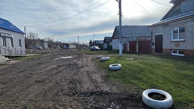 Кормим бездомных кошек и сегодня было нечто!!!