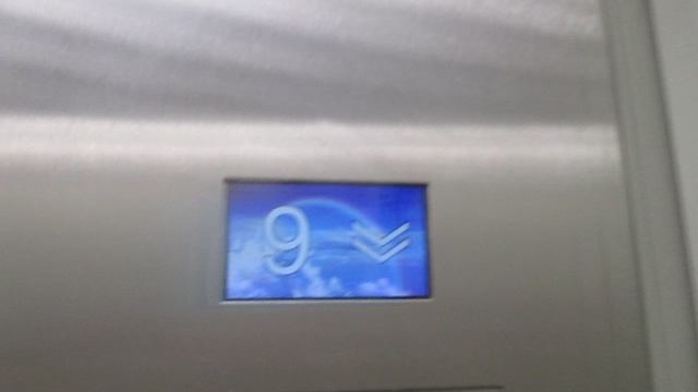 Лифты Ecomaks-(ЩЛЗ) + школьная доска для рисования @ М.О. г. Химки, ул. Зеленая, д. 15-4 (72)