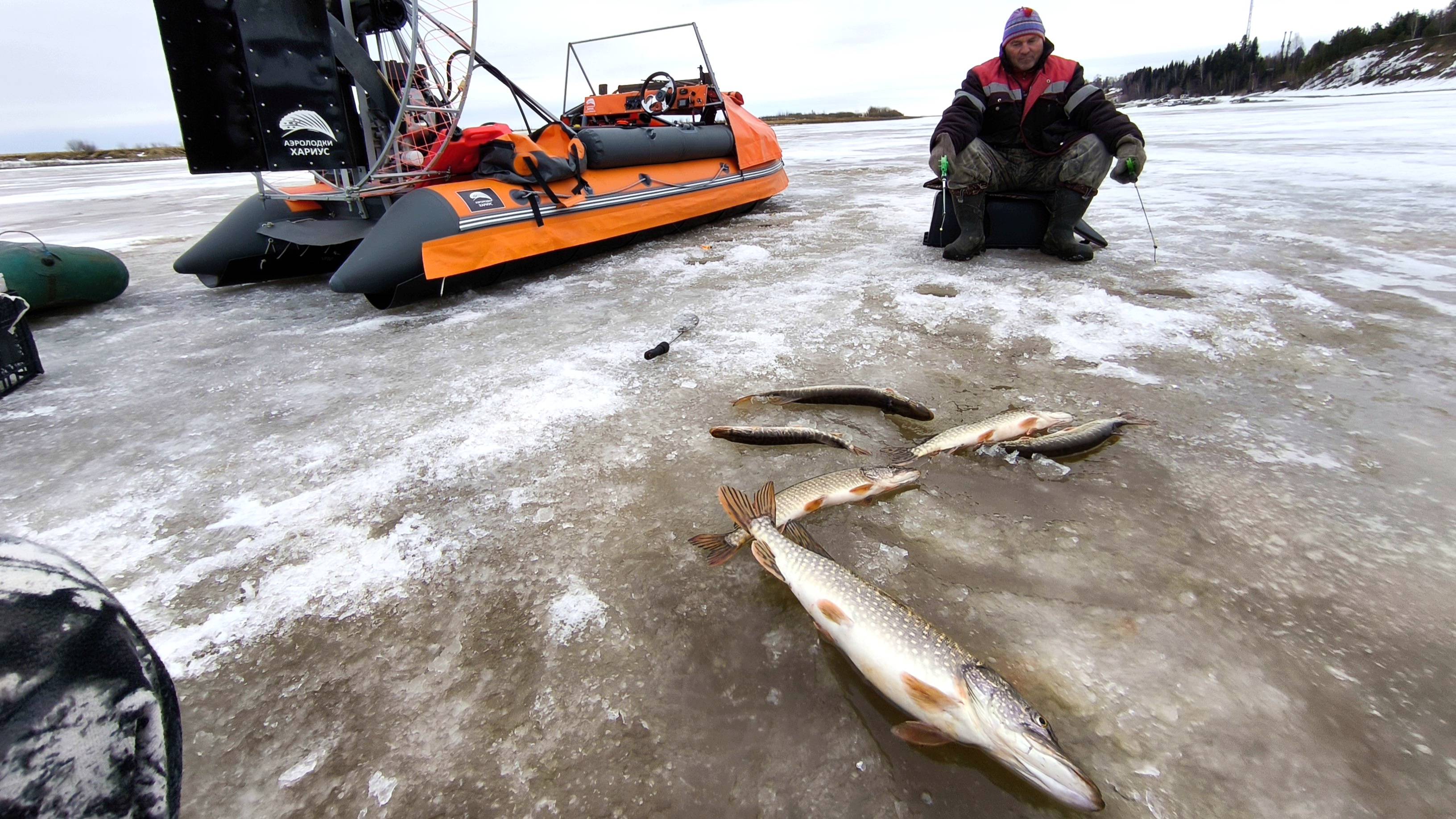 Закрытие зимнего сезона удалось, половили по последнему льду щуку на удочку.