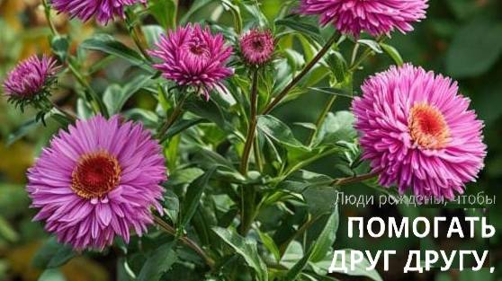 Как научиться принимать помощь и как понять, что вас используют?