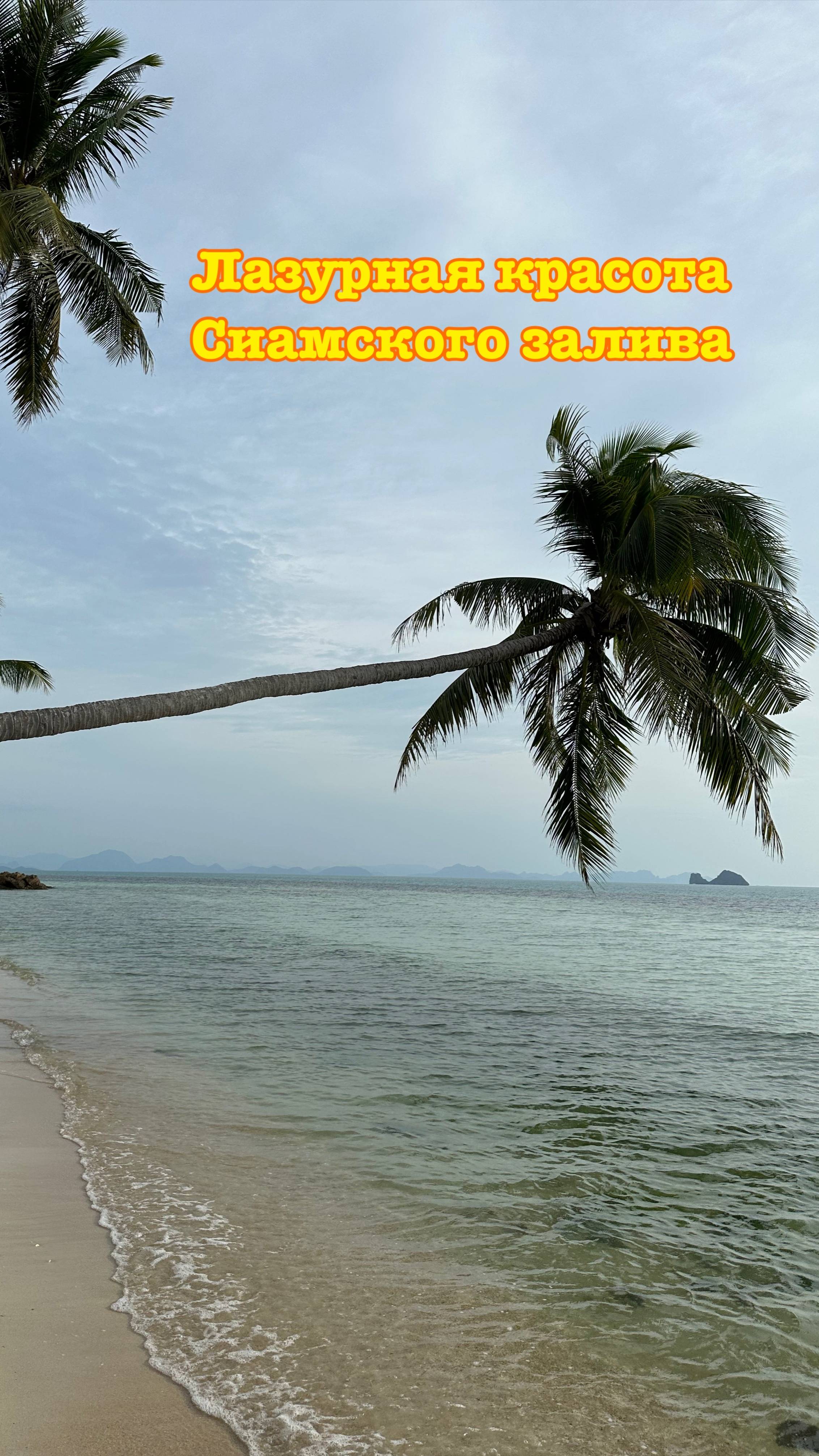 Пальмы грациозные и кокосы над волной.