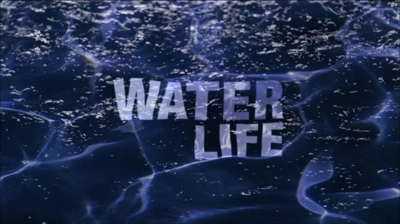 26 сезон 7 серия | Тёмная вода | Водная жизнь