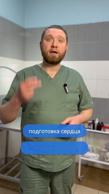 Как избежать травмы у собак-спортсменов?