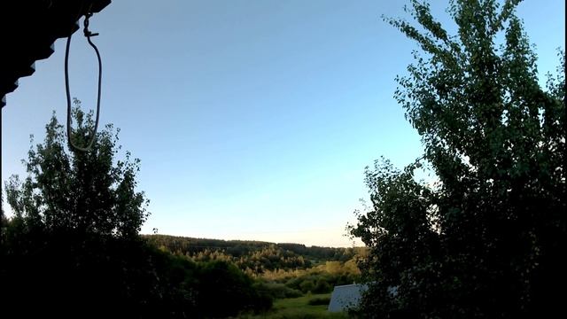 любимая манька
французский бульдог
4K