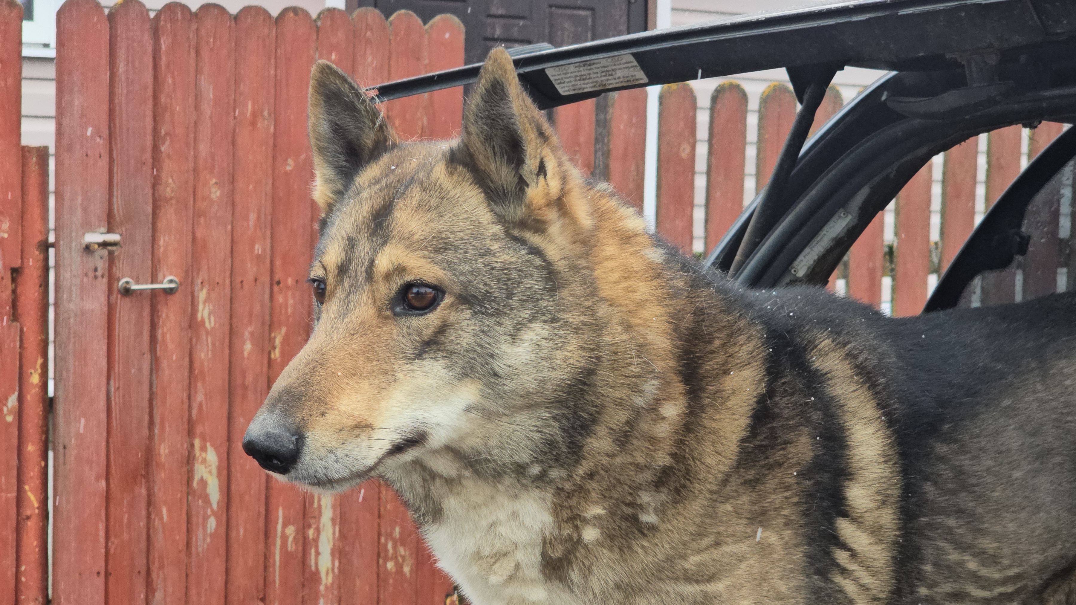 С Каюром в родовом месте