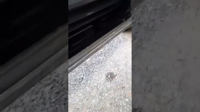 Китайские машины покоя не дают своим владельцам,весело вообще-то 😄