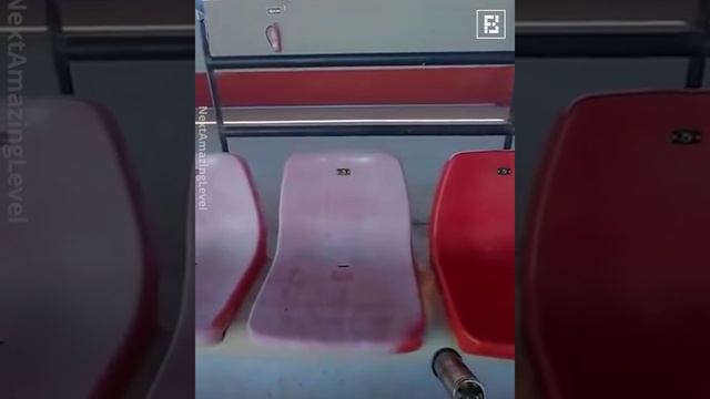 как обновляют покрытие на сидениях