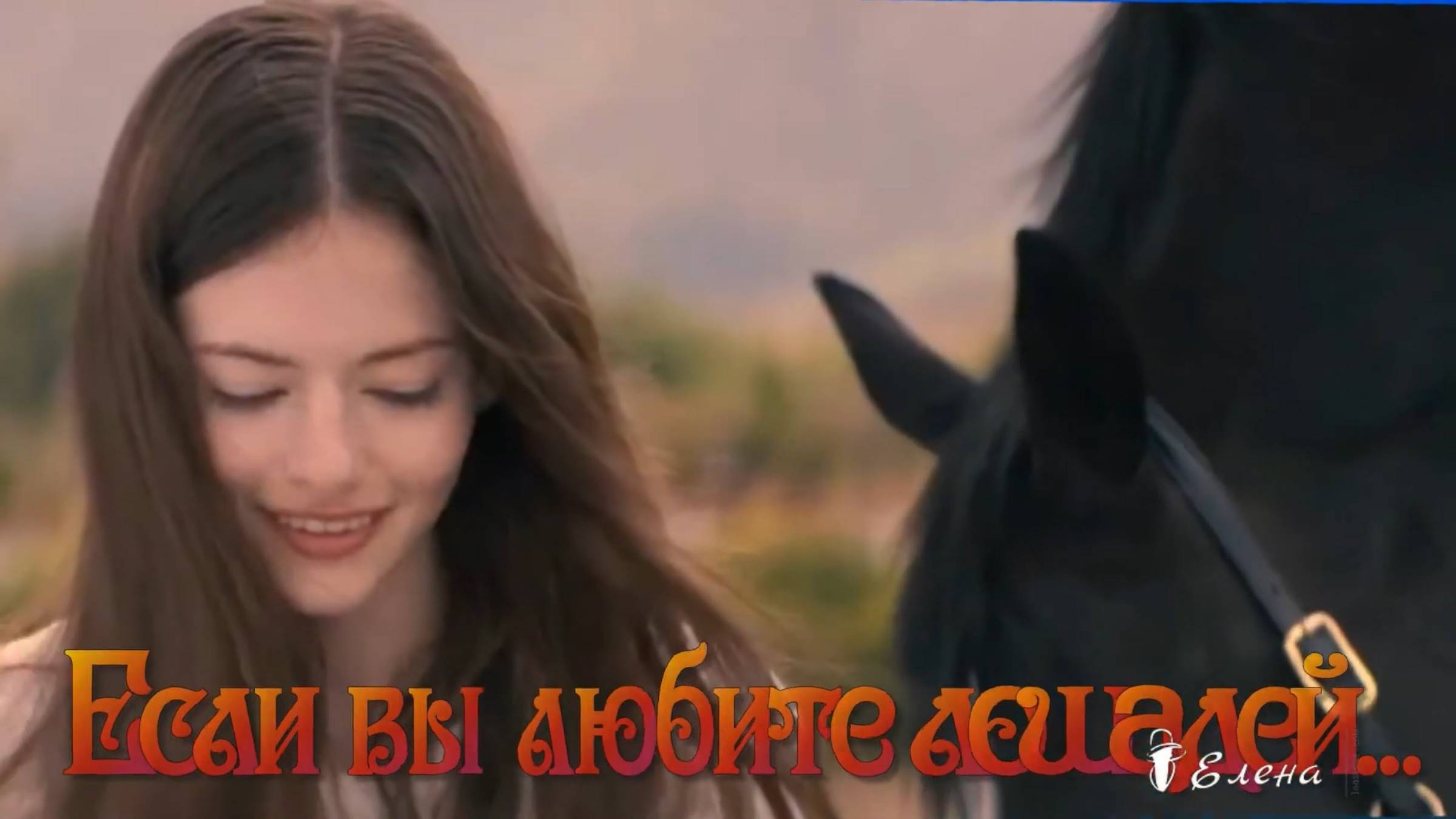 Если вы любите лошадей*