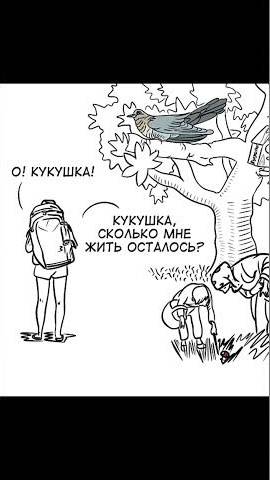 Мем про кукушку
