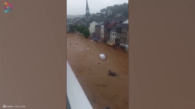 Одно из миллиарда мгновений на природе - Лучшее в Году