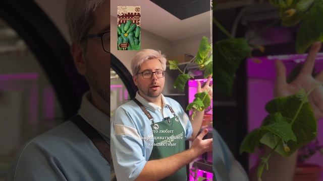 ПО СЕКРЕТУ ВСЕМУ СВЕТУ