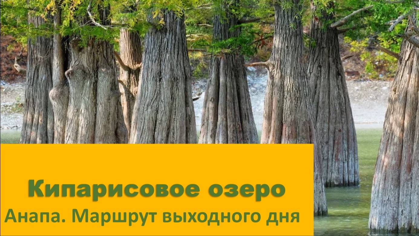 Кипарисовое озеро в Анапе