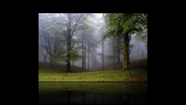 Memories (A Tribute To Dream Dance)  13