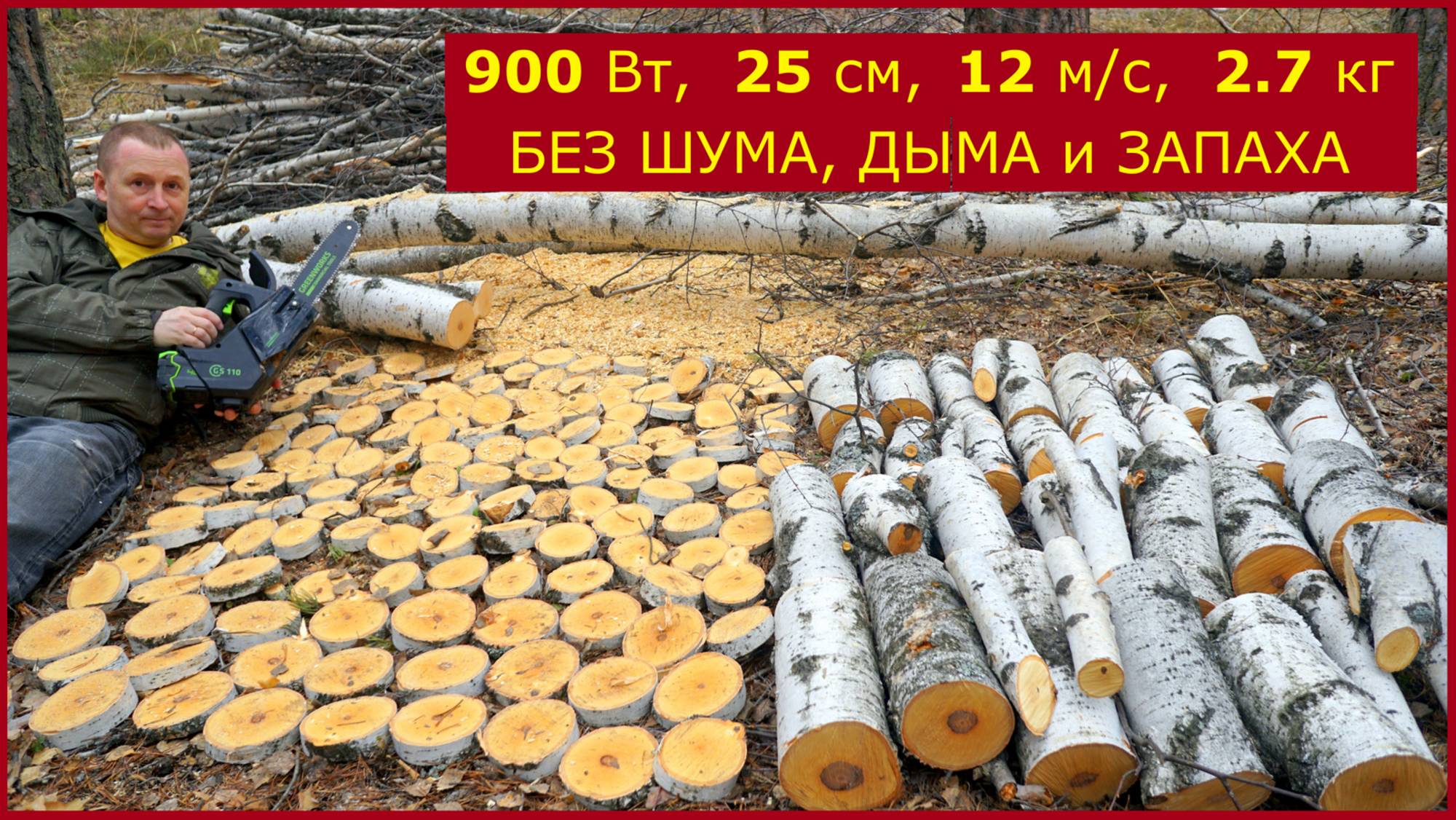 Маленькая однорукая цепная пила 40V Арбориста Greenworks TCS