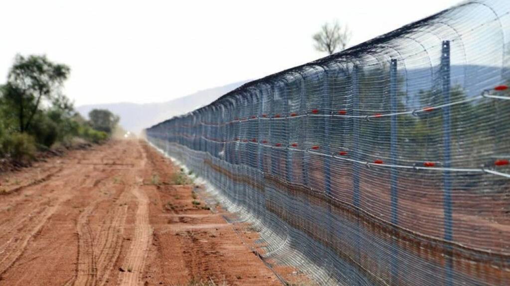 Что прячут за заборами в Австралии