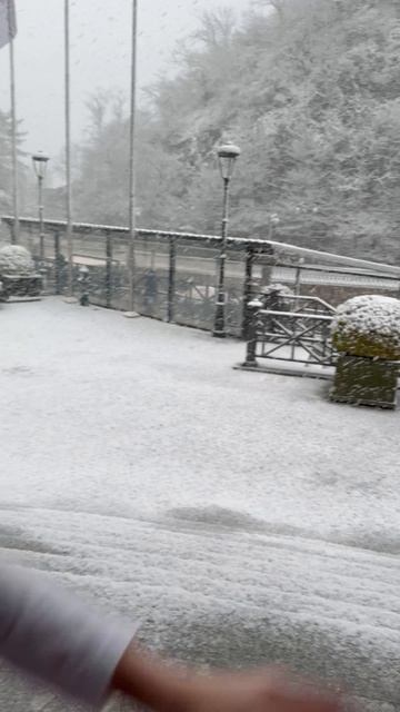 Новый год в апреле 🎄 #боржоми