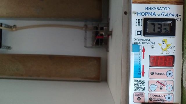 Инкубирование Бройлеров РОС-308