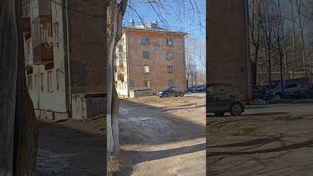 Прогулка ранним  утром 12 апреля 2025. город Новодвинск Архангельская обл. , Россия.